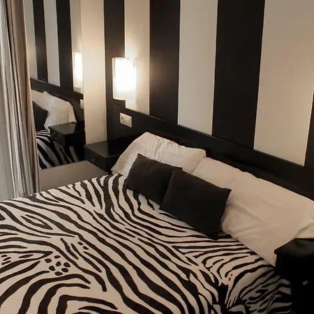 Basic Confort Guest house