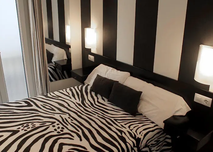 Basic Confort Guest house